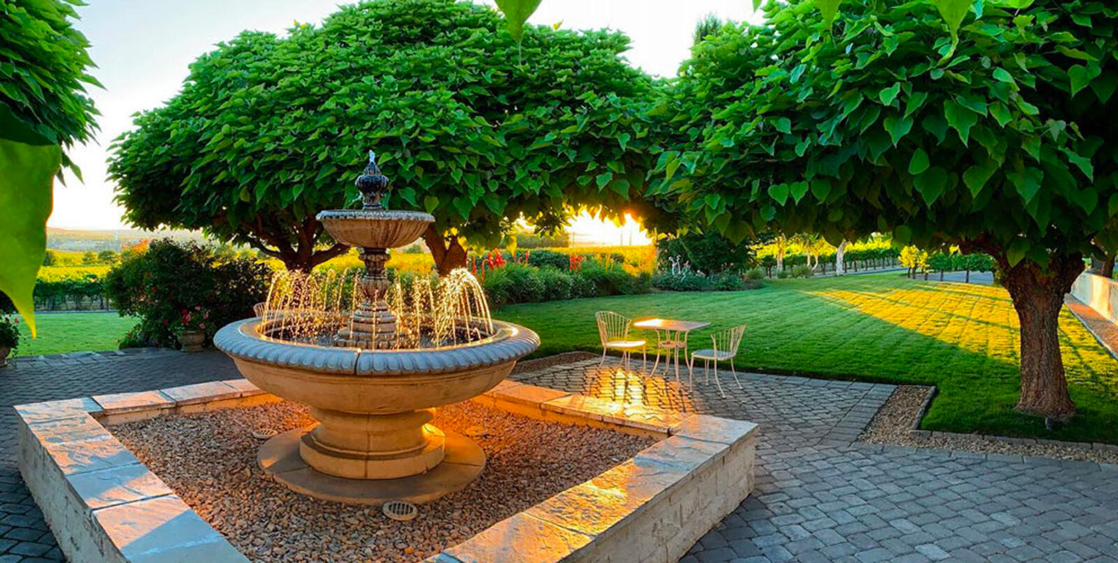 Hedges sunset patio hero