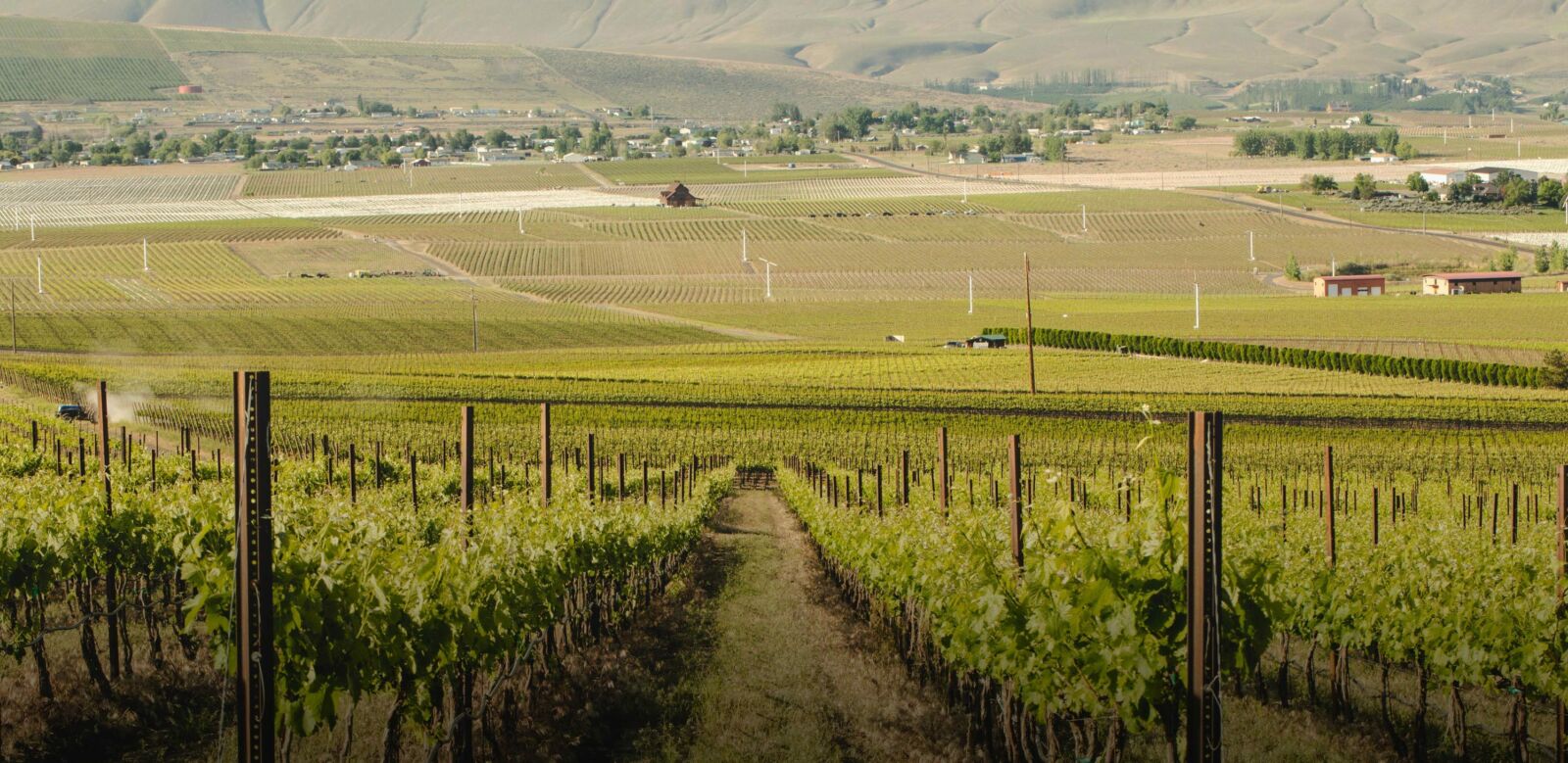 What is Biodynamic Farming?
