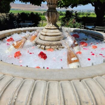 Rosé Day with live music from Calico Bones and Opa! Food Truck