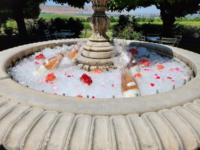 Rose fountain ice web