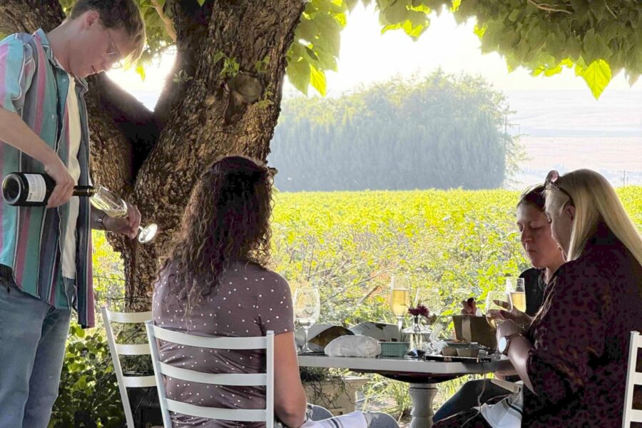 Will pouring wine sml