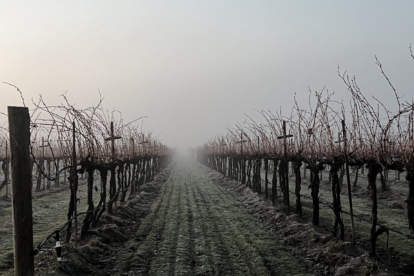 Jan/Feb 2026 Newsletter