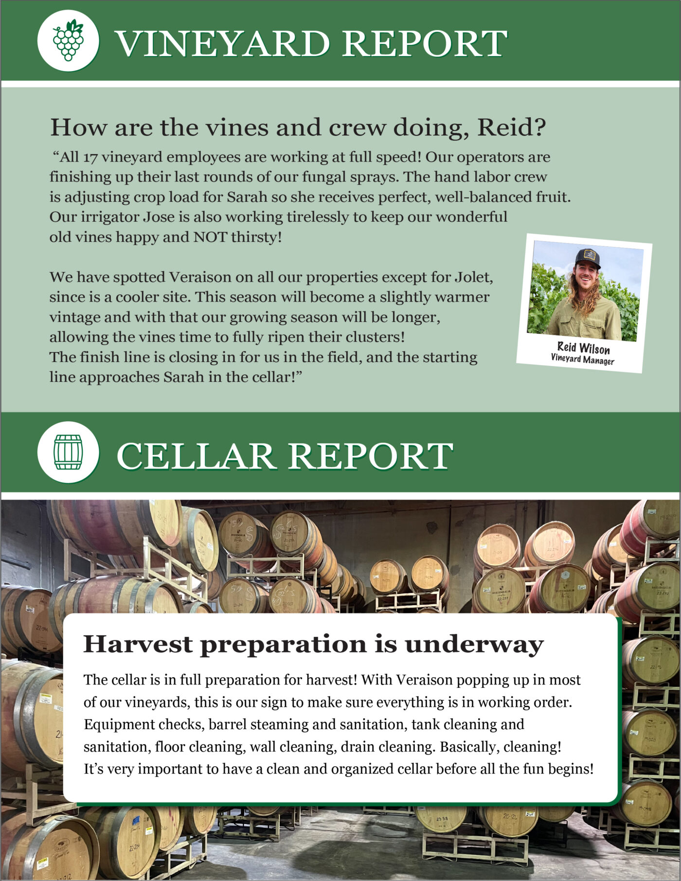 July Web Vineyard Cellar Reports