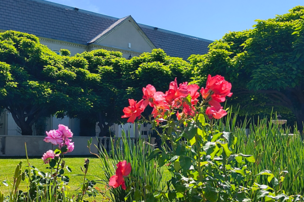 June 2026 Newsletter