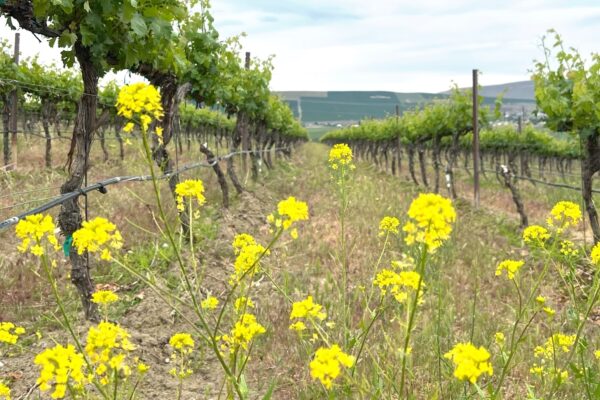 Mar/Apr 2026 Newsletter