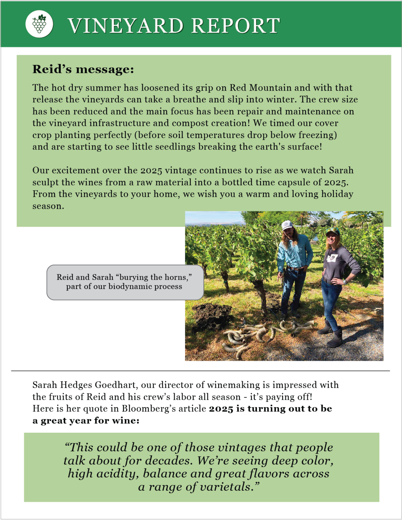 Nov Dec 2025 Newsletter 5 Vineyard Report