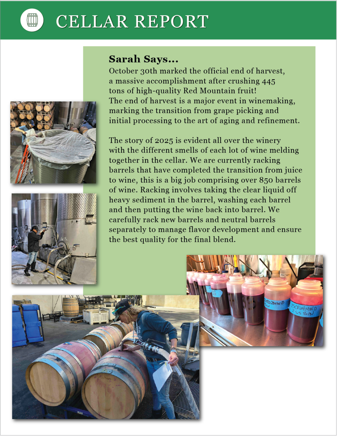 Nov Dec 2025 Newsletter 6 Cellar Report