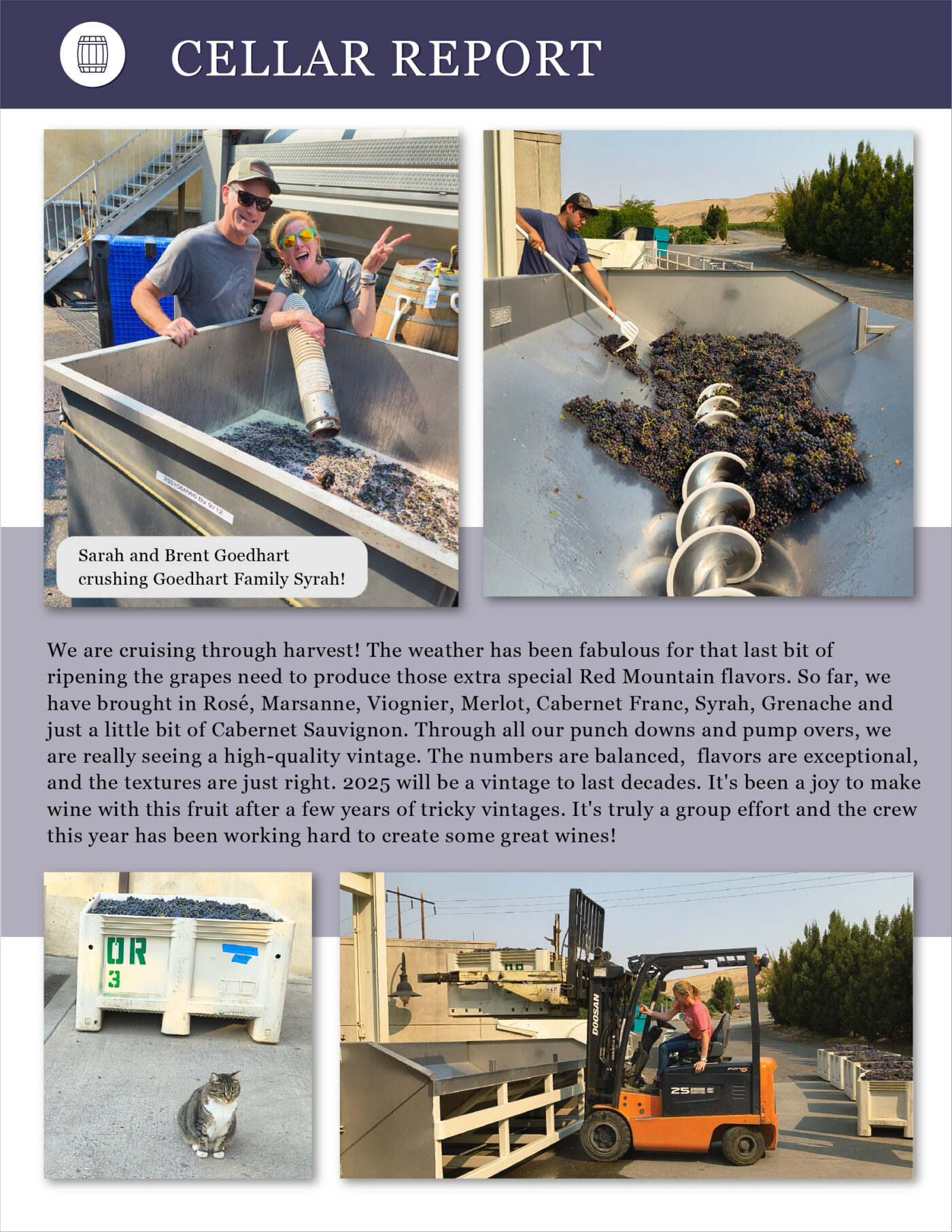 Sept Oct 2025 newsletter cellar