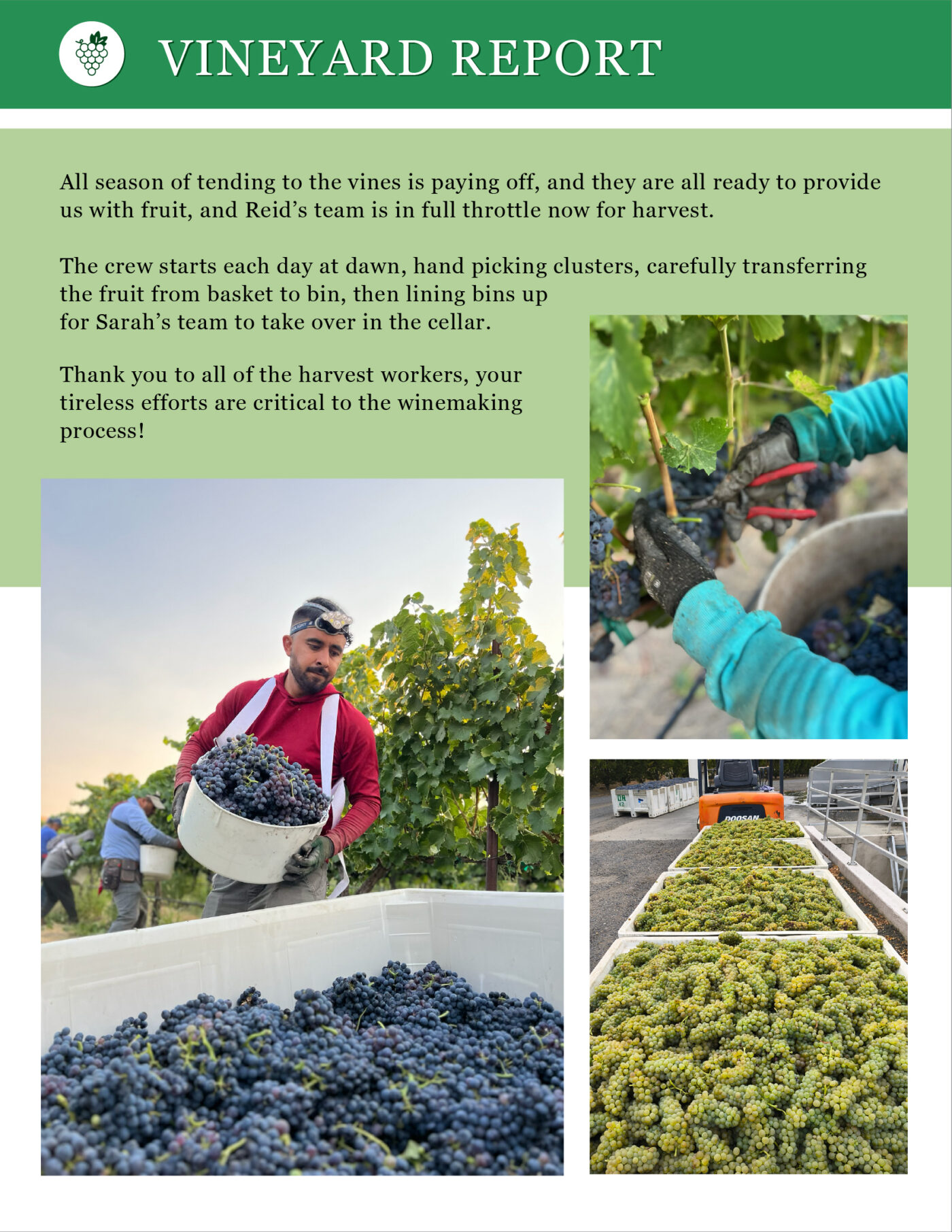 Sept Oct 2025 newsletter vineyard