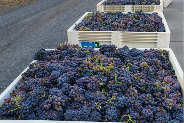 Sep/Oct 2025 Newsletter