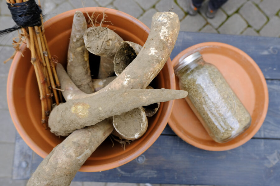 Cow Horns Equinox Party