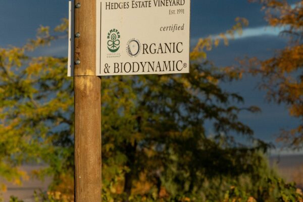 Evidence mounts that eco-friendly wine tastes better Certified organic French wines rated higher by experts, UCLA-led study finds