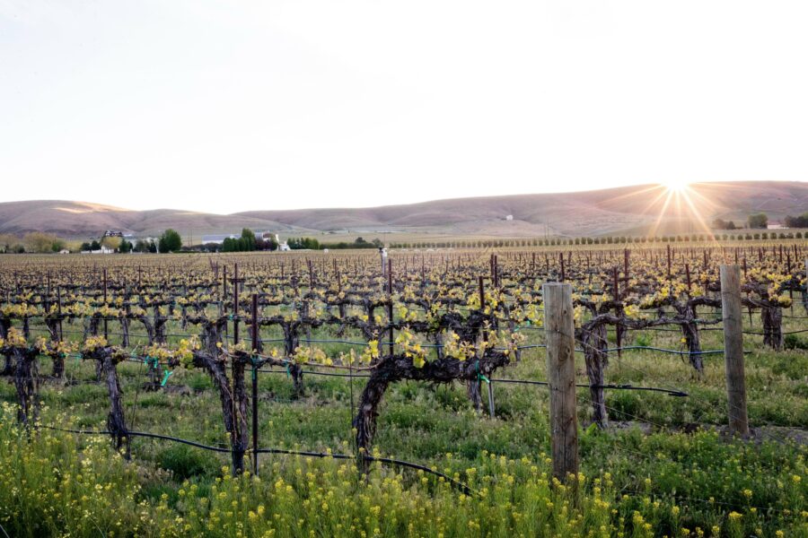 Kimfetrow2022 DSC 7053 copy