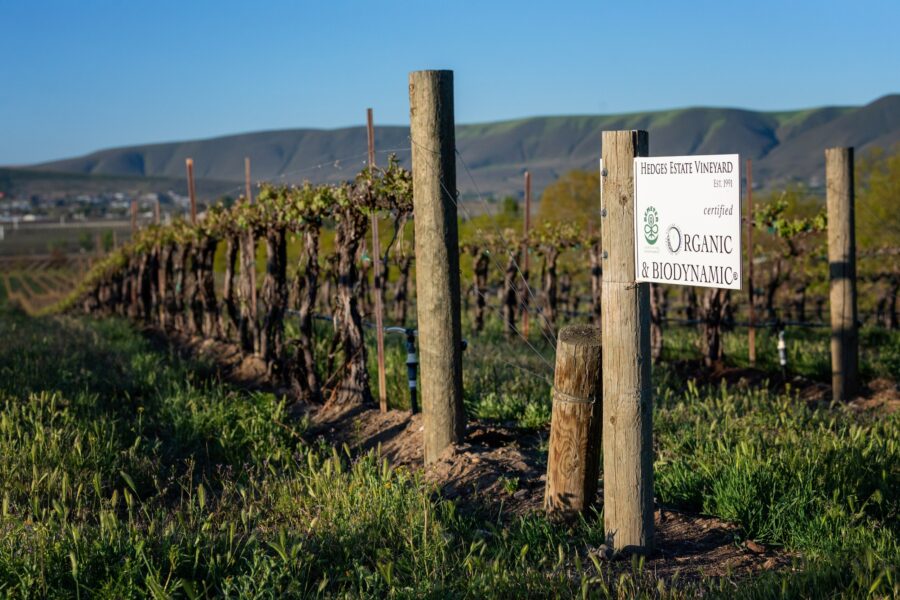 Kimfetrow2022 DSC 7138 copy