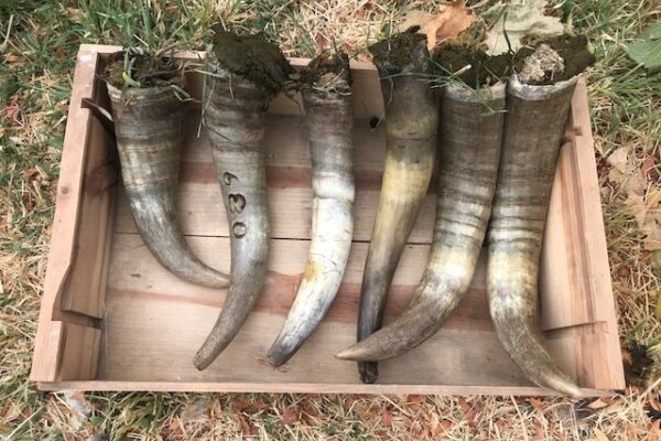 “Spring is natures way of saying, ‘Let’s Party!’” – Robin Williams